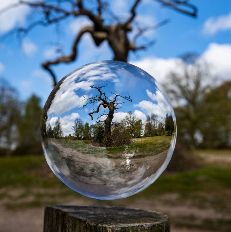 PhotoBall - Sutton Park lightning tree PhotoBall - Sutton Park lightning tree