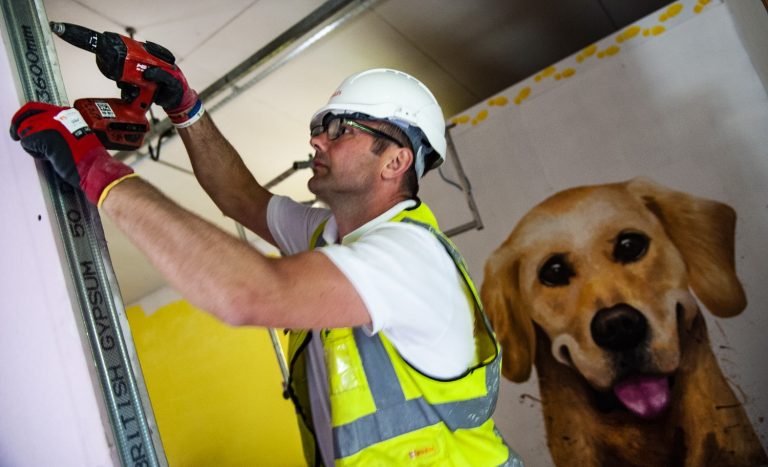 Guide Dogs building construction
